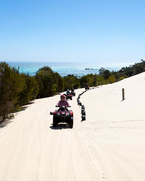 Tangalooma Island Resort - Accommodation Mermaid Beach 11