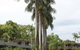 Arcadia Village Motel - thumb 19