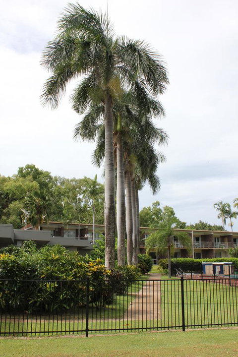 Arcadia Village Motel - Accommodation Mermaid Beach 19