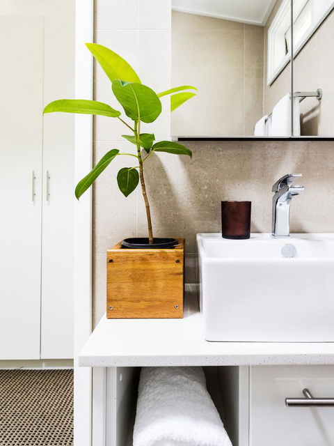 Pinetrees Lodge - Accommodation Mermaid Beach 26