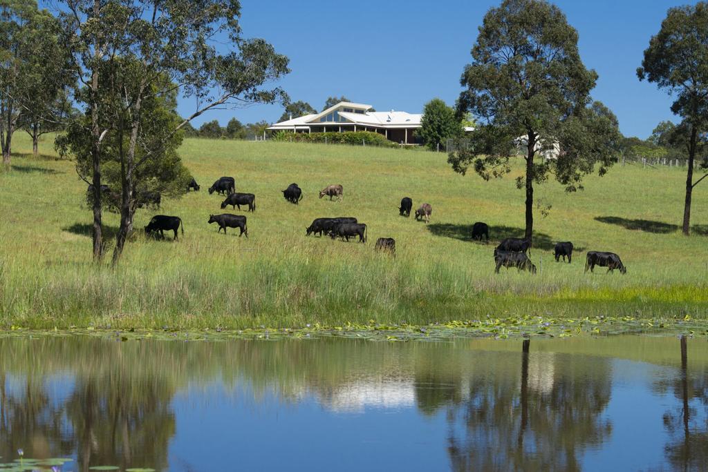 Violet Hill NSW Accommodation Mermaid Beach