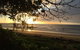 Daintree Beach Studio - BEACH FRONT ACCOMMODATION - thumb 0