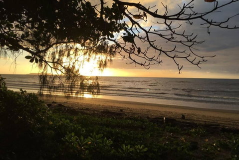 Daintree Beach Studio - BEACH FRONT ACCOMMODATION - Accommodation Mermaid Beach 0