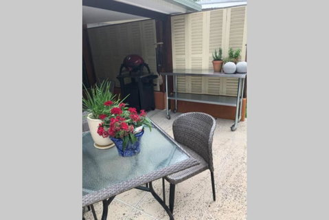 Daintree Beach Studio - BEACH FRONT ACCOMMODATION - Accommodation Mermaid Beach 3
