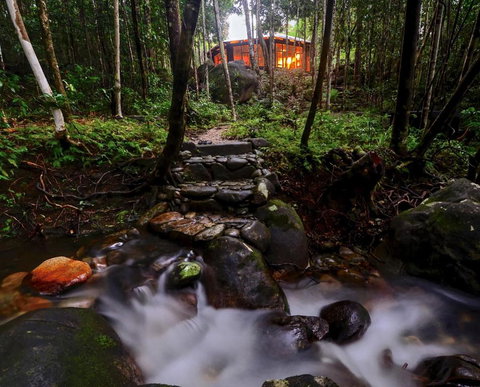 Daintree Cascades - Accommodation Mermaid Beach 0