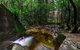 Daintree Cascades - thumb 4