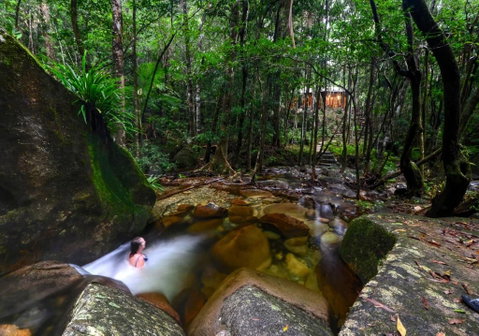 Daintree Cascades - Accommodation Mermaid Beach 4