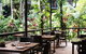 Daintree Ecolodge - thumb 4