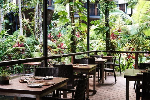 Daintree Ecolodge - Accommodation Mermaid Beach 4