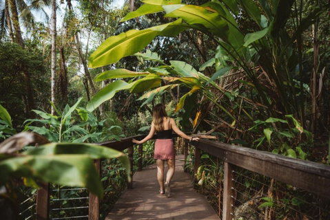 Daintree Ecolodge - Accommodation Mermaid Beach 1