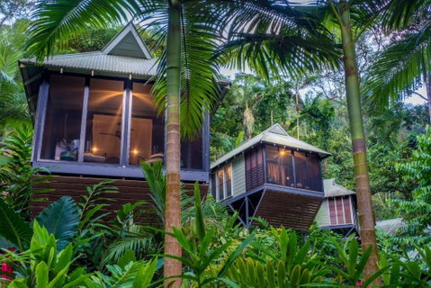 Daintree Ecolodge - Accommodation Mermaid Beach 0