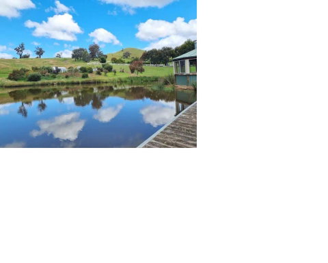 Daisy Hill Lodge - Accommodation Mermaid Beach 2