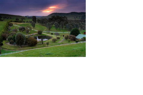 Daisy Hill Lodge - Accommodation Mermaid Beach 0