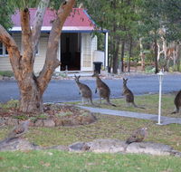 31 The Rocks - Accommodation Mermaid Beach