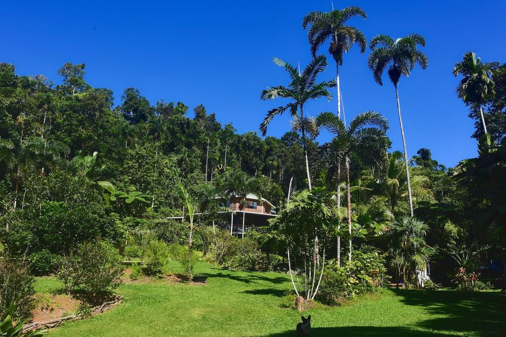 Diwan QLD Accommodation Mermaid Beach