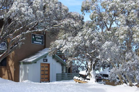 Alpine Retreat Mt Buller - Accommodation Mermaid Beach 0