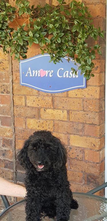 Amore Casa Tenterfield - Accommodation Mermaid Beach 2