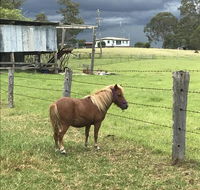 AMs Farm Stay - Accommodation Mermaid Beach