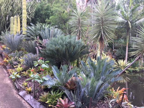 Ancient Gardens Guesthouse & Botanical Gardens - Accommodation Mermaid Beach 2