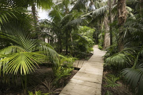 Arajilla Retreat - Accommodation Mermaid Beach 3