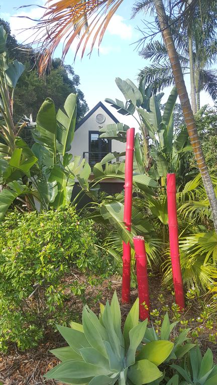 Moorina QLD Accommodation Mermaid Beach