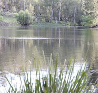 Arcadian Cabin - Southern Highlands River Retreat - Accommodation Mermaid Beach