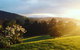 Arjuna Ridge Bed And Breakfast - thumb 3