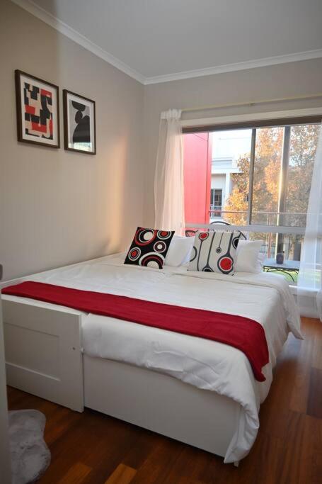 Mawson Red - Free Pool Access -Onsite Parking-Netflix-5 Mins To Mawson Interchange - Accommodation Mermaid Beach 3