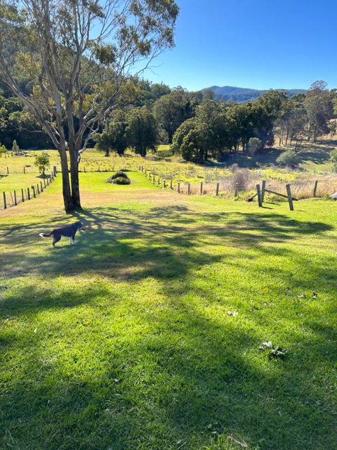Misty Mountain Cottage At Krambach - Accommodation Mermaid Beach 2