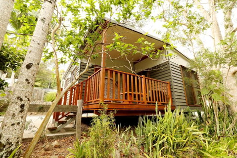 Mt Warning Rainforest Park - Accommodation Mermaid Beach 1