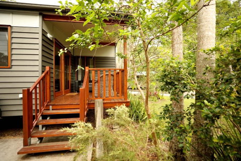 Mt Warning Rainforest Park - Accommodation Mermaid Beach 0