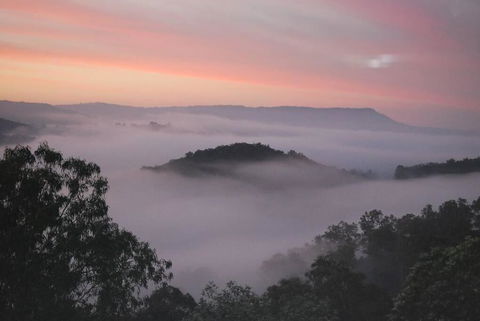 Nunyara Retreat. Quality Bush Retreat - Accommodation Mermaid Beach 0
