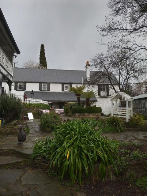 Old Colony Inn - Accommodation Mermaid Beach 0