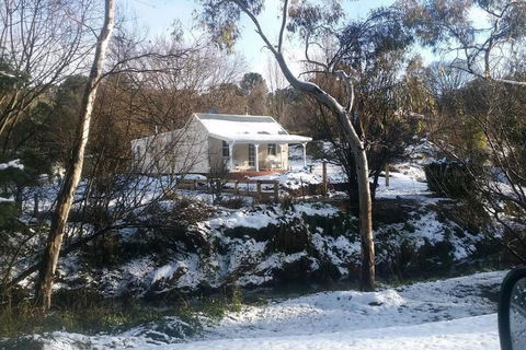 Old Oak Tree Cottage - Accommodation Mermaid Beach 1