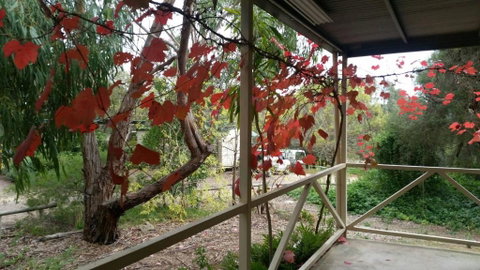 Padthaway Caravan Park - Accommodation Mermaid Beach 1