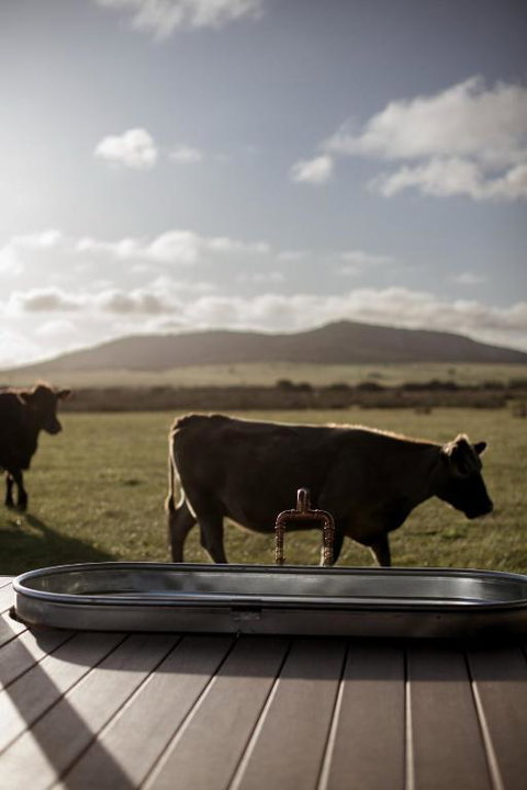 Peter The Tiny Cabin In Esperance - Accommodation Mermaid Beach 1