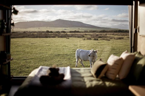 Peter The Tiny Cabin In Esperance - Accommodation Mermaid Beach 0