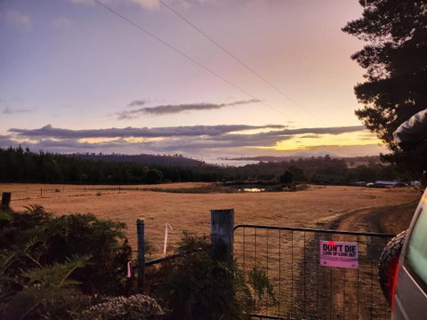 Pine Edge Heights By Tiny Away - Accommodation Mermaid Beach 2