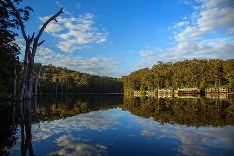 RAC Karri Valley Resort - Accommodation Mermaid Beach 3