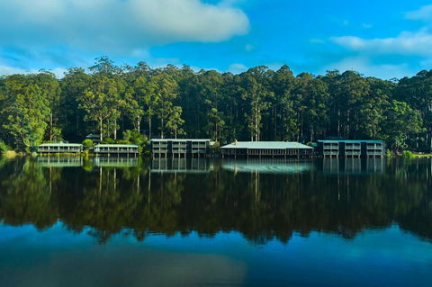 RAC Karri Valley Resort - Accommodation Mermaid Beach 2