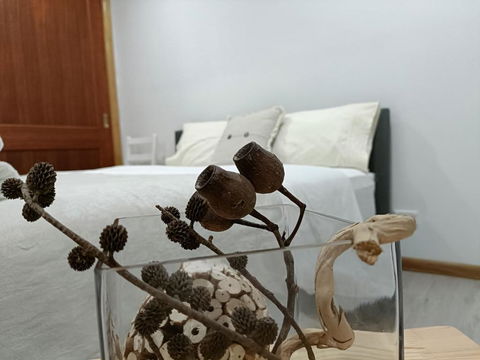 Quiet Nature-Filled Ground Floor Unit - Accommodation Mermaid Beach 1