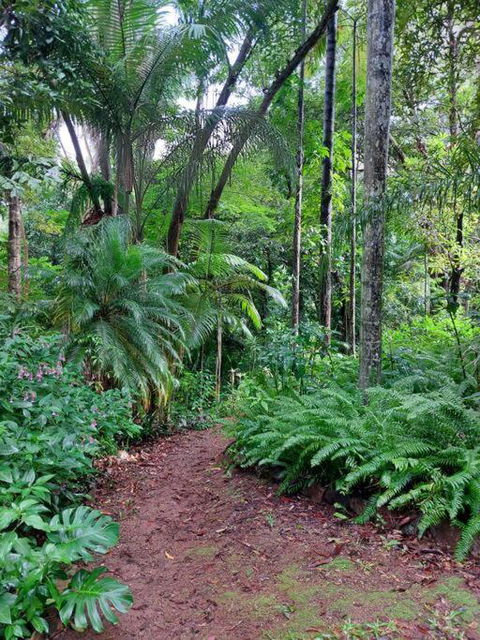 Rainforest Retreat-Fireplace-BBQ-3 Acres- - Accommodation Mermaid Beach 0