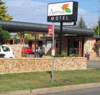 Avenue Motel - Accommodation Mermaid Beach