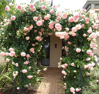 Baudins of Busselton Bed and Breakfast - Accommodation Mermaid Beach