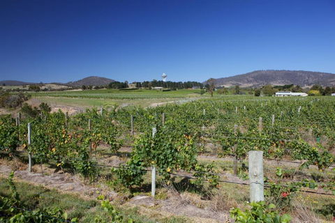 Riversdale Estate Cottages - Accommodation Mermaid Beach 1