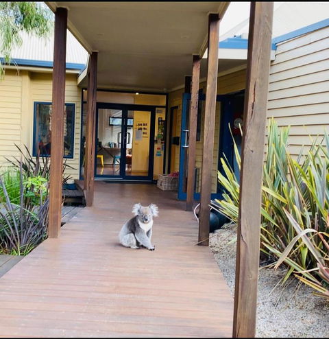 Sandpiper Motel Apollo Bay - Accommodation Mermaid Beach 3