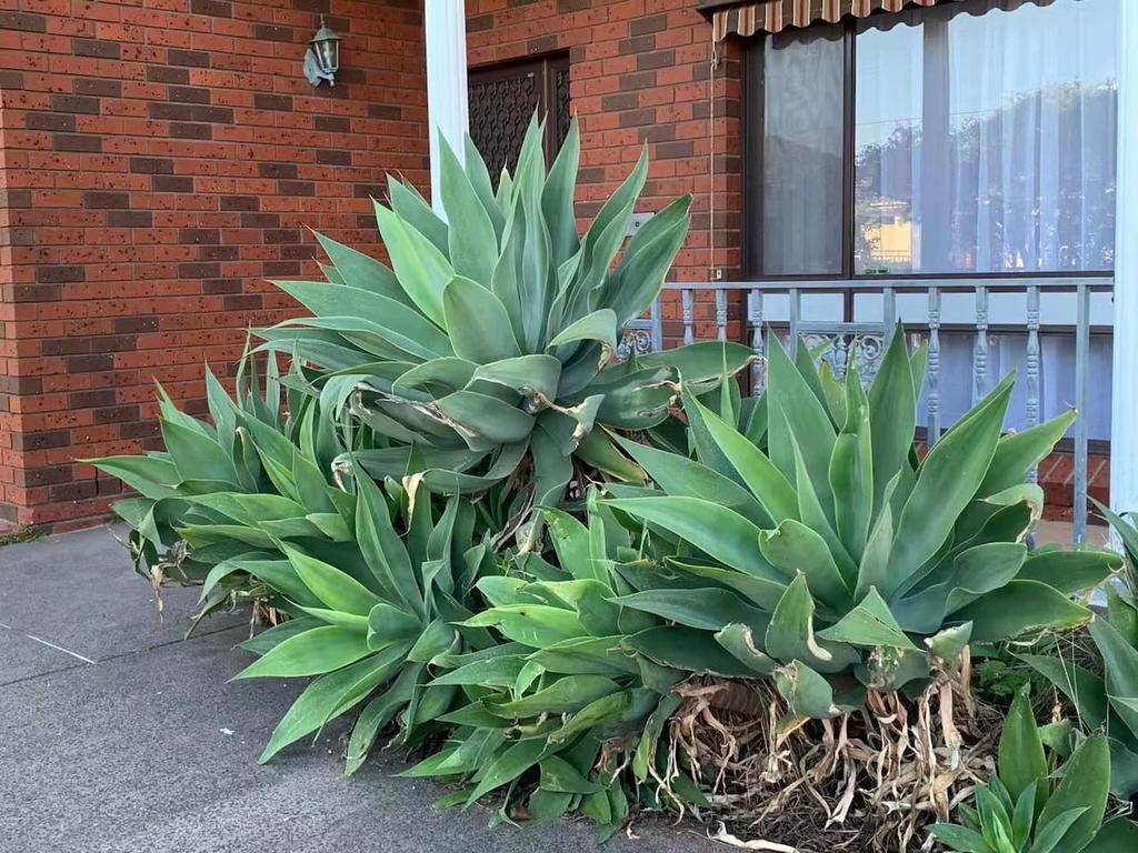 Bentleigh East VIC Accommodation Mermaid Beach