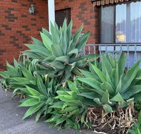Beautiful Bedroom in Bentleigh East - Accommodation Mermaid Beach
