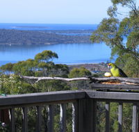Bed in the Treetops BB