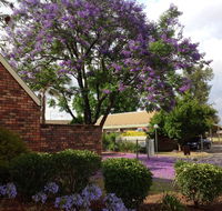 Belvoir Village Motel  Apartments Wodonga - Accommodation Mermaid Beach